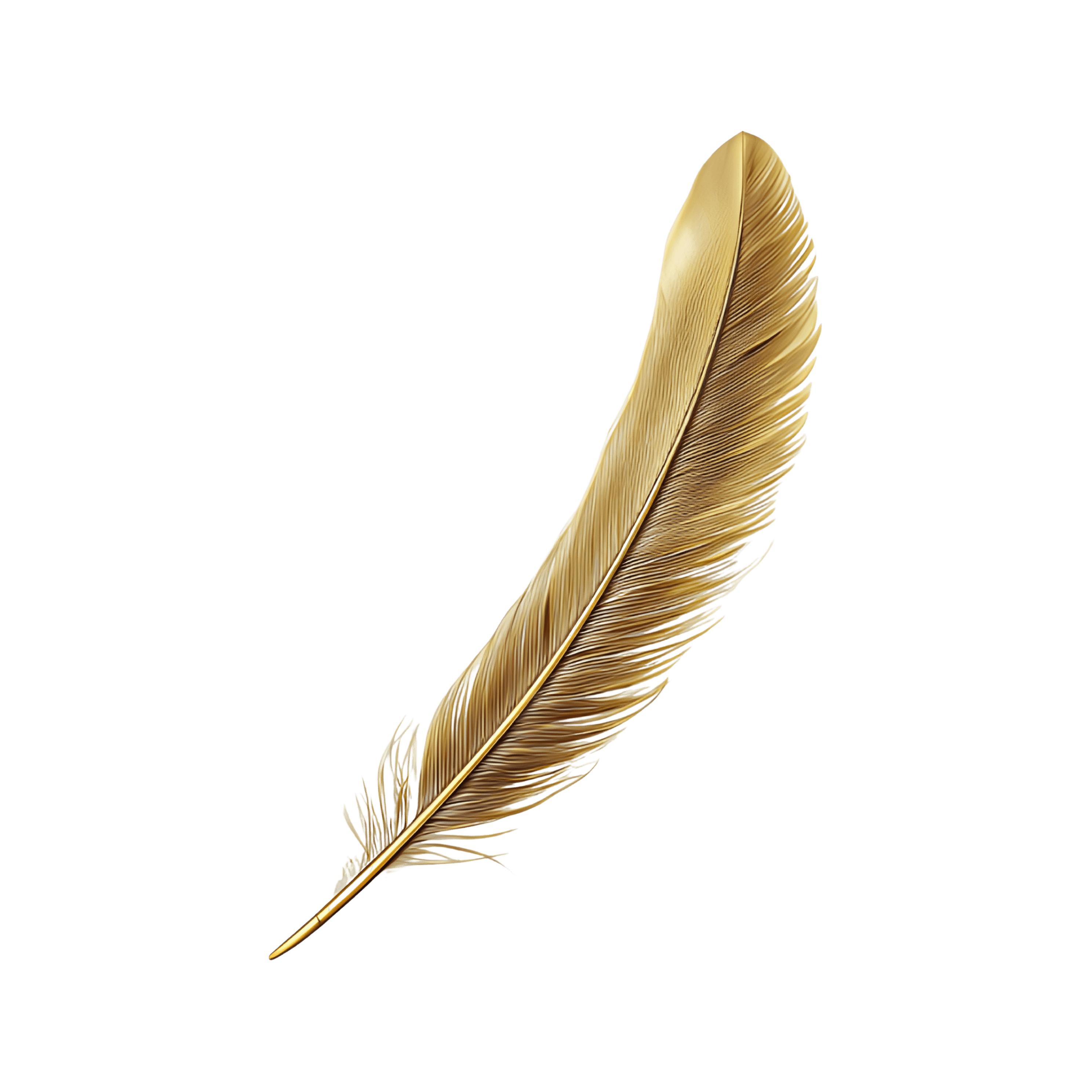 100% free access visual